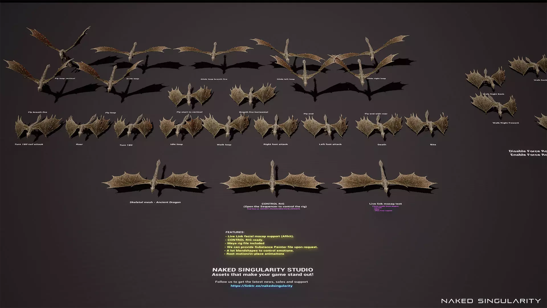 Ancient Dragon Wyvern - Realistic Game-ready Low-poly 3D model_3