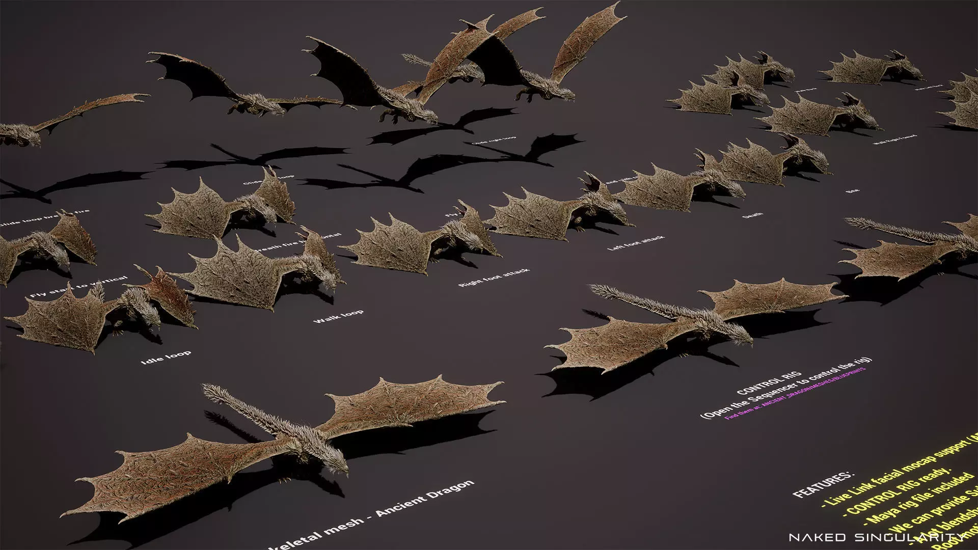 Ancient Dragon Wyvern - Realistic Game-ready Low-poly 3D model_2