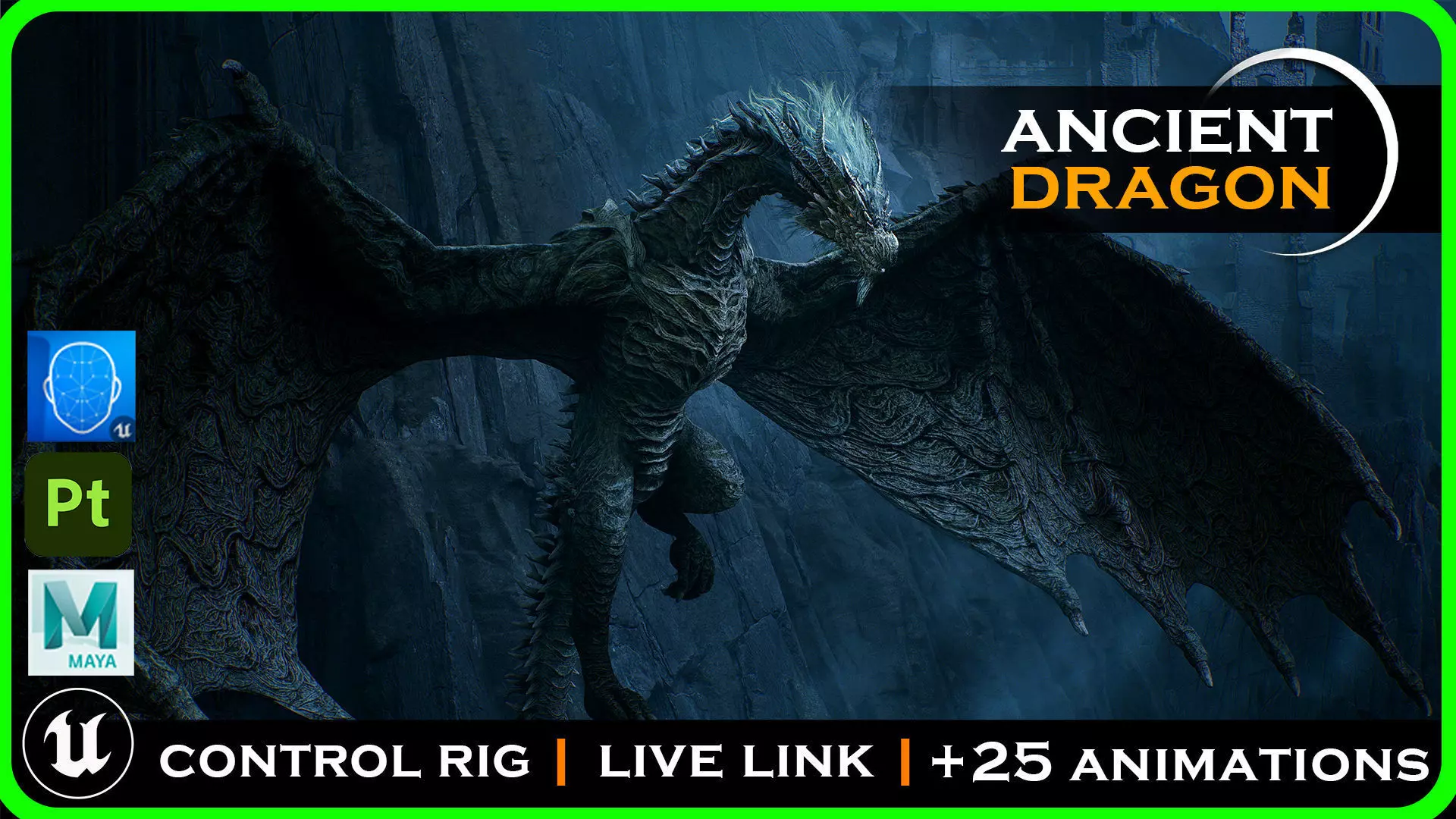 Ancient Dragon Wyvern - Realistic Game-ready Low-poly 3D model_0