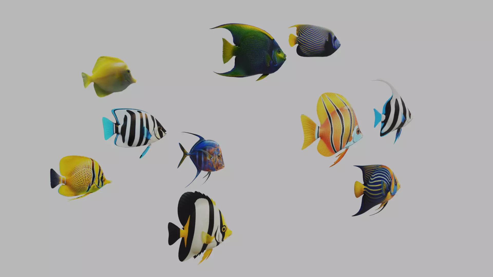Fish 10 3D model_2