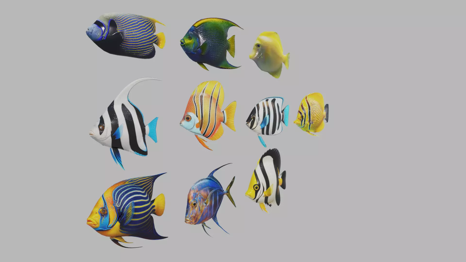 Fish 10 3D model_1