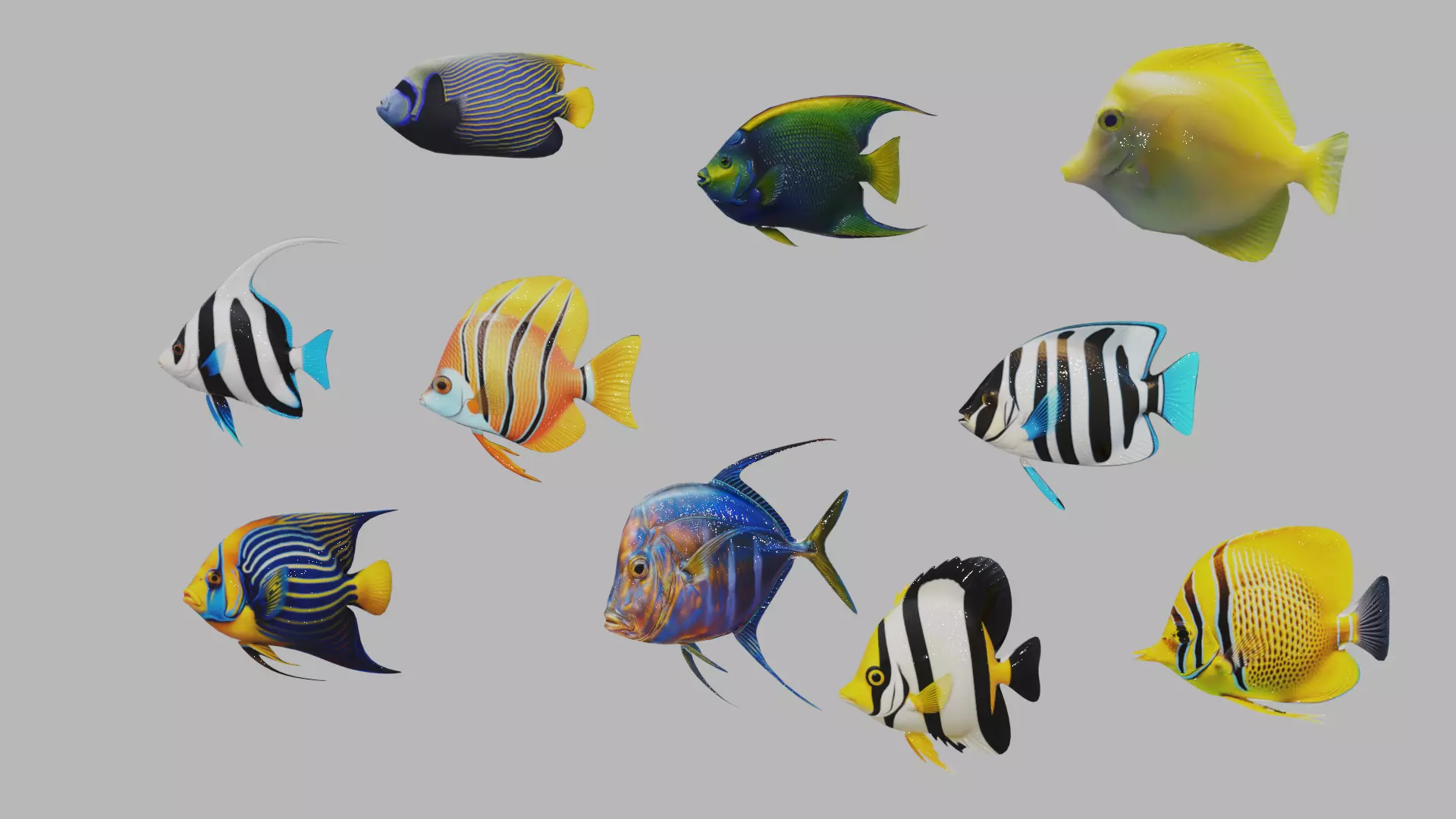 Fish 10 3D model_4