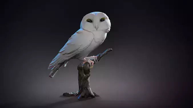 Owl  sitting   -  3D Sculpting
