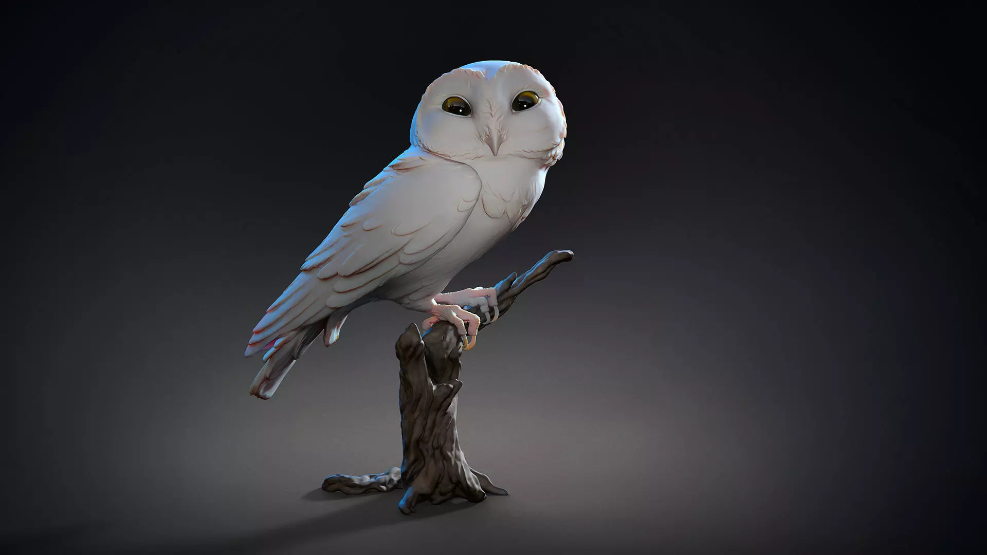 Owl  sitting   -  3D Sculpting 3D print model_0