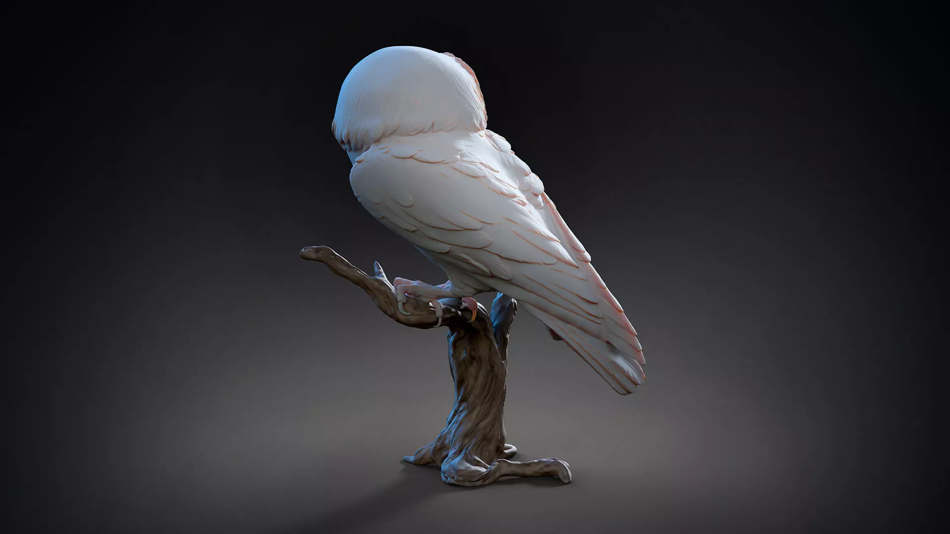 Owl  sitting   -  3D Sculpting 3D print model_3