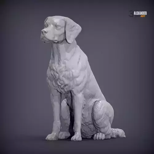 Brittany Spaniel Sitting