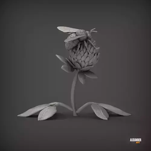 Bumblebee on red clover