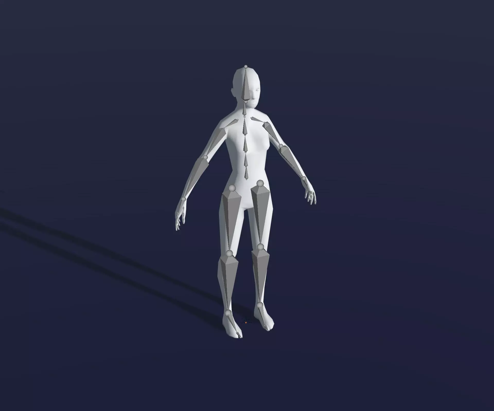 Animated Male Female Body Base Mesh 1K with 76 Sound Effects Low-poly 3D model_22