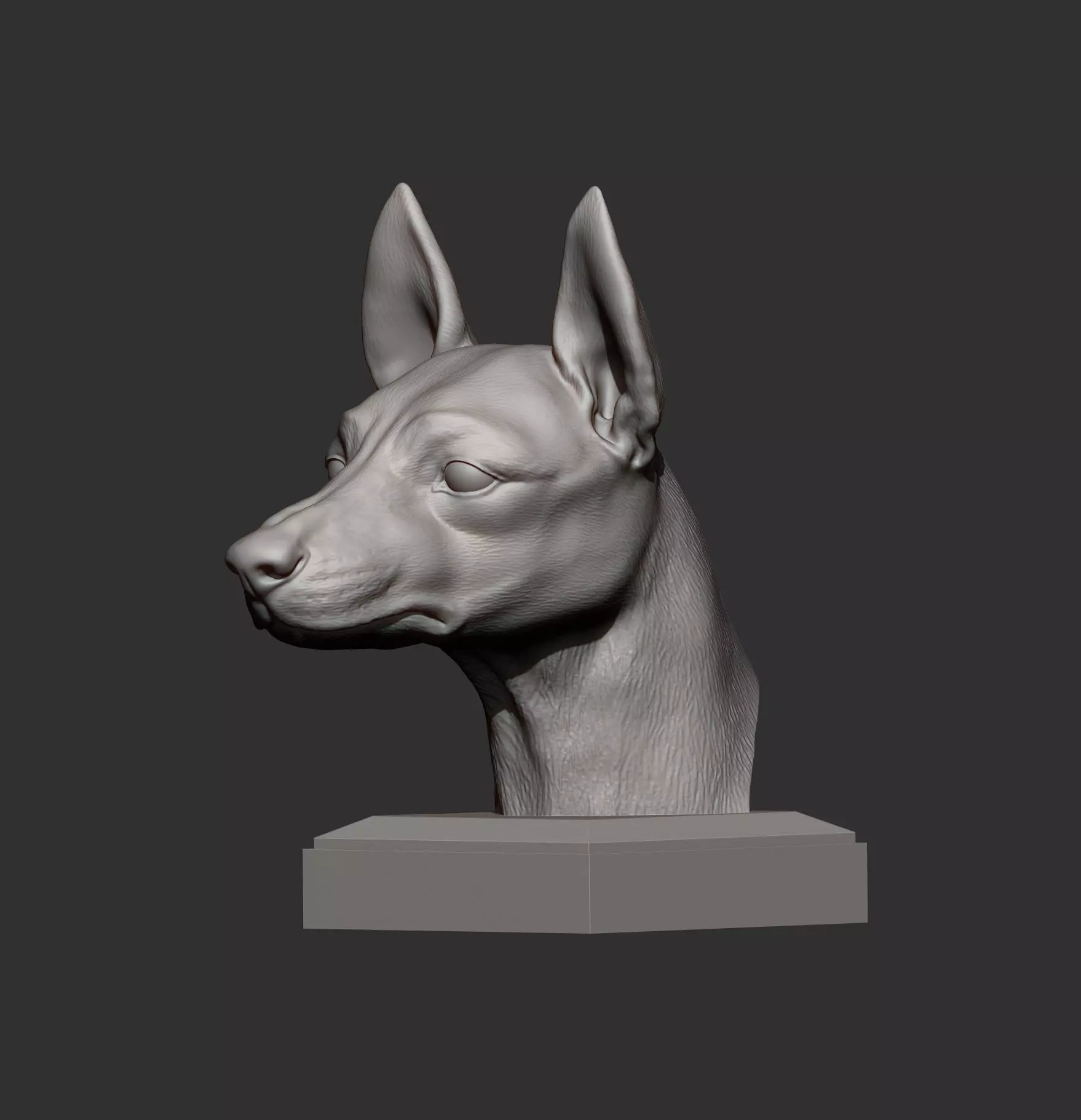 English Toy Terrier Bust 3D print model_7