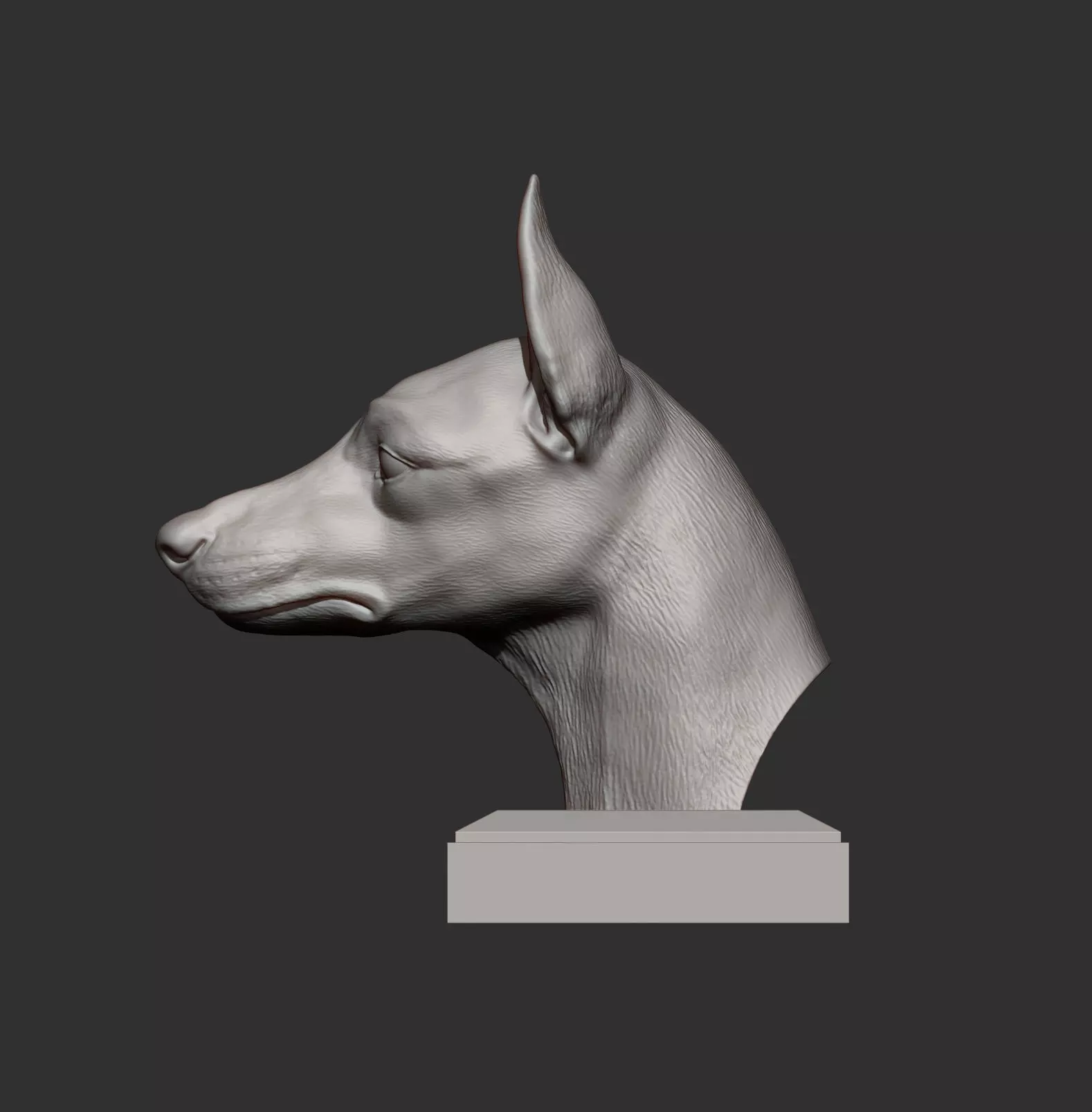 English Toy Terrier Bust 3D print model_5