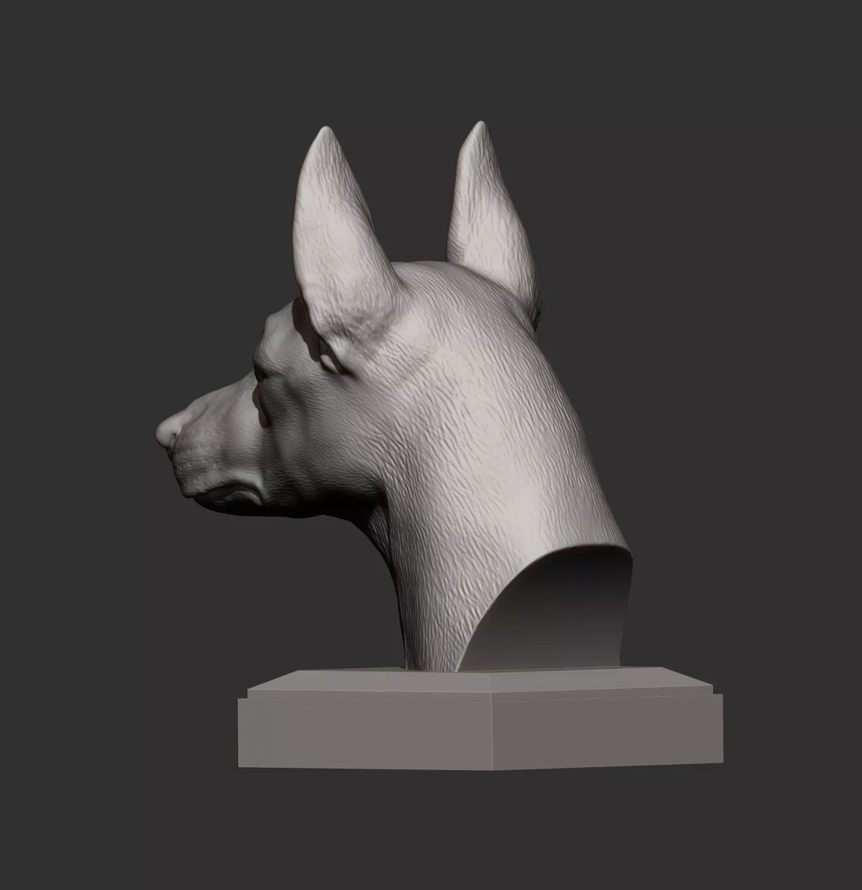 English Toy Terrier Bust 3D print model_8