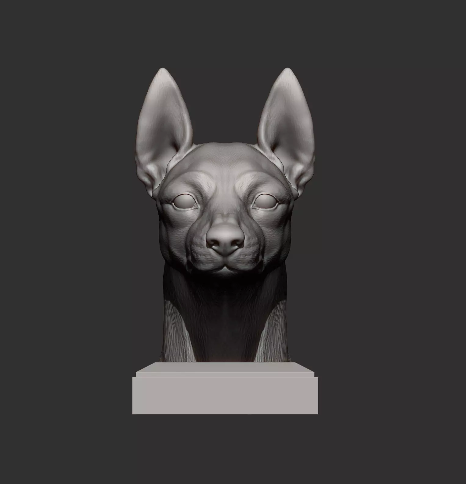 English Toy Terrier Bust 3D print model_6