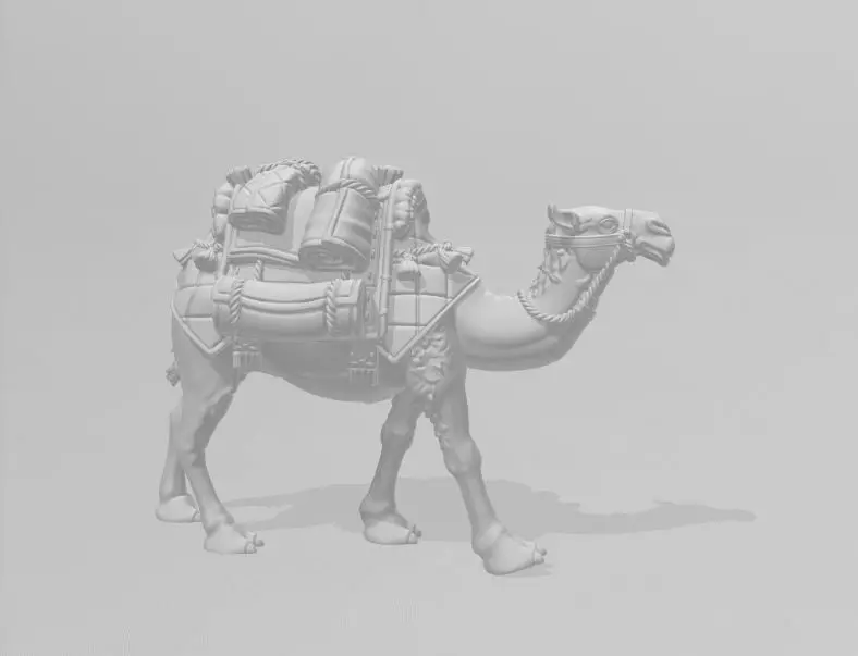 camello dromedario 3D print model