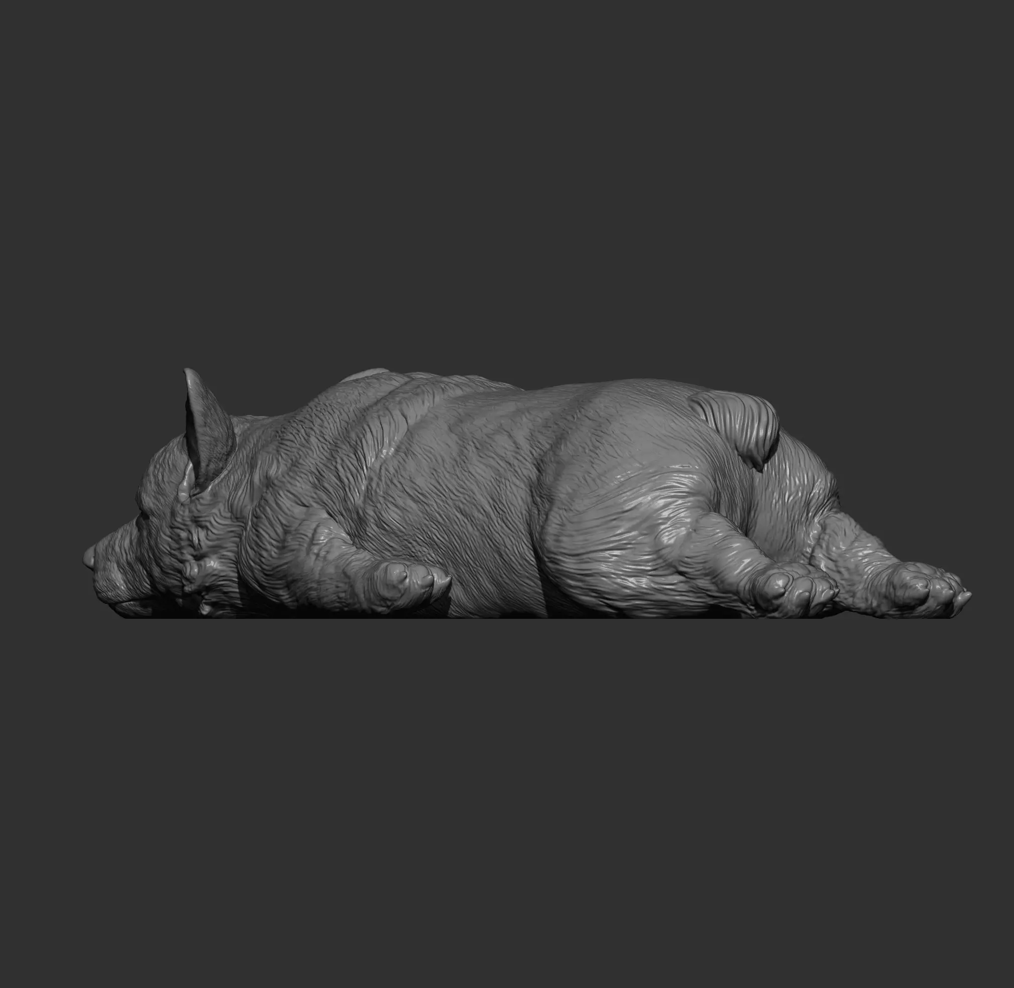 Sleeping Corgi 3D print model_13