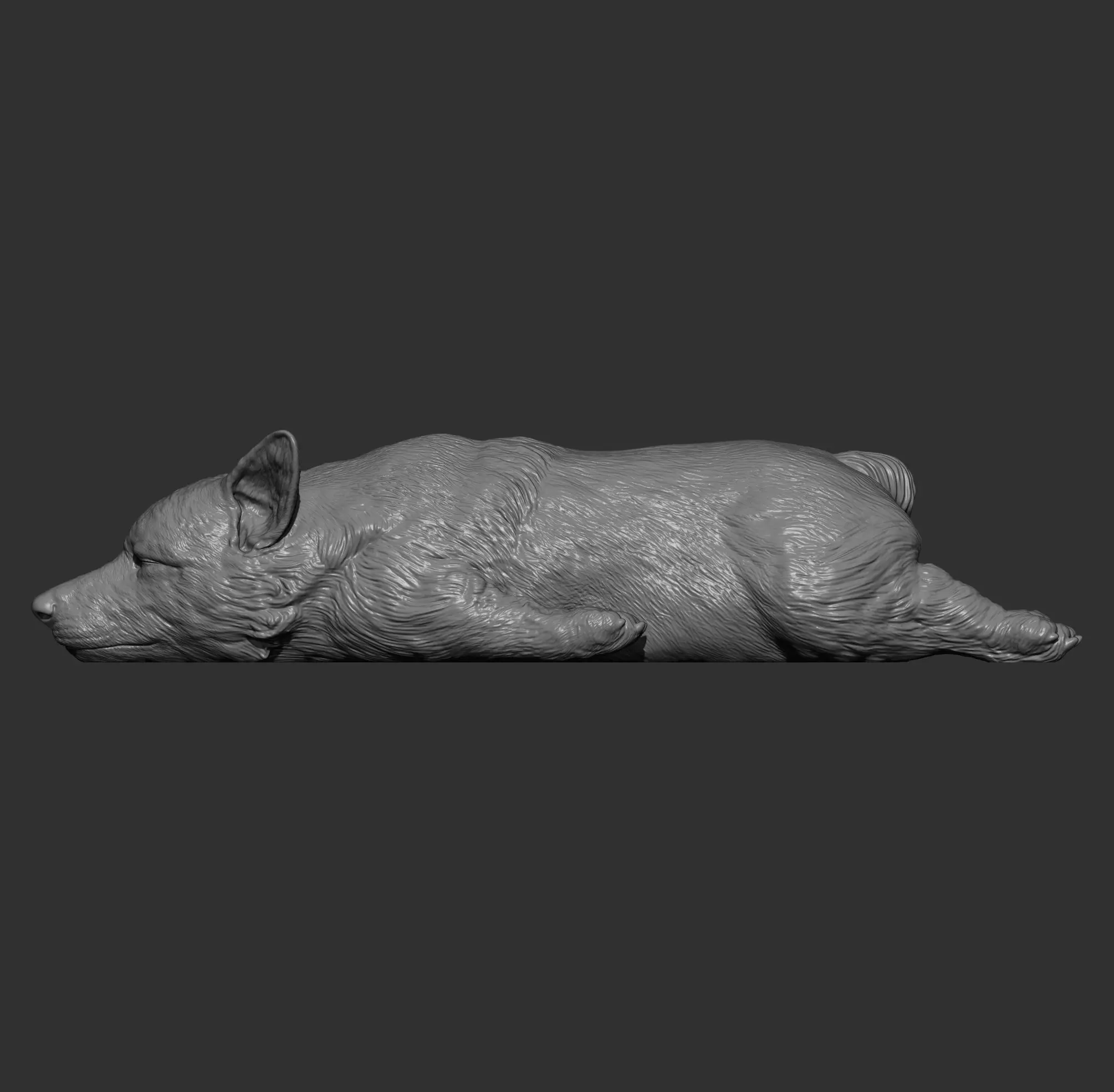 Sleeping Corgi 3D print model_10