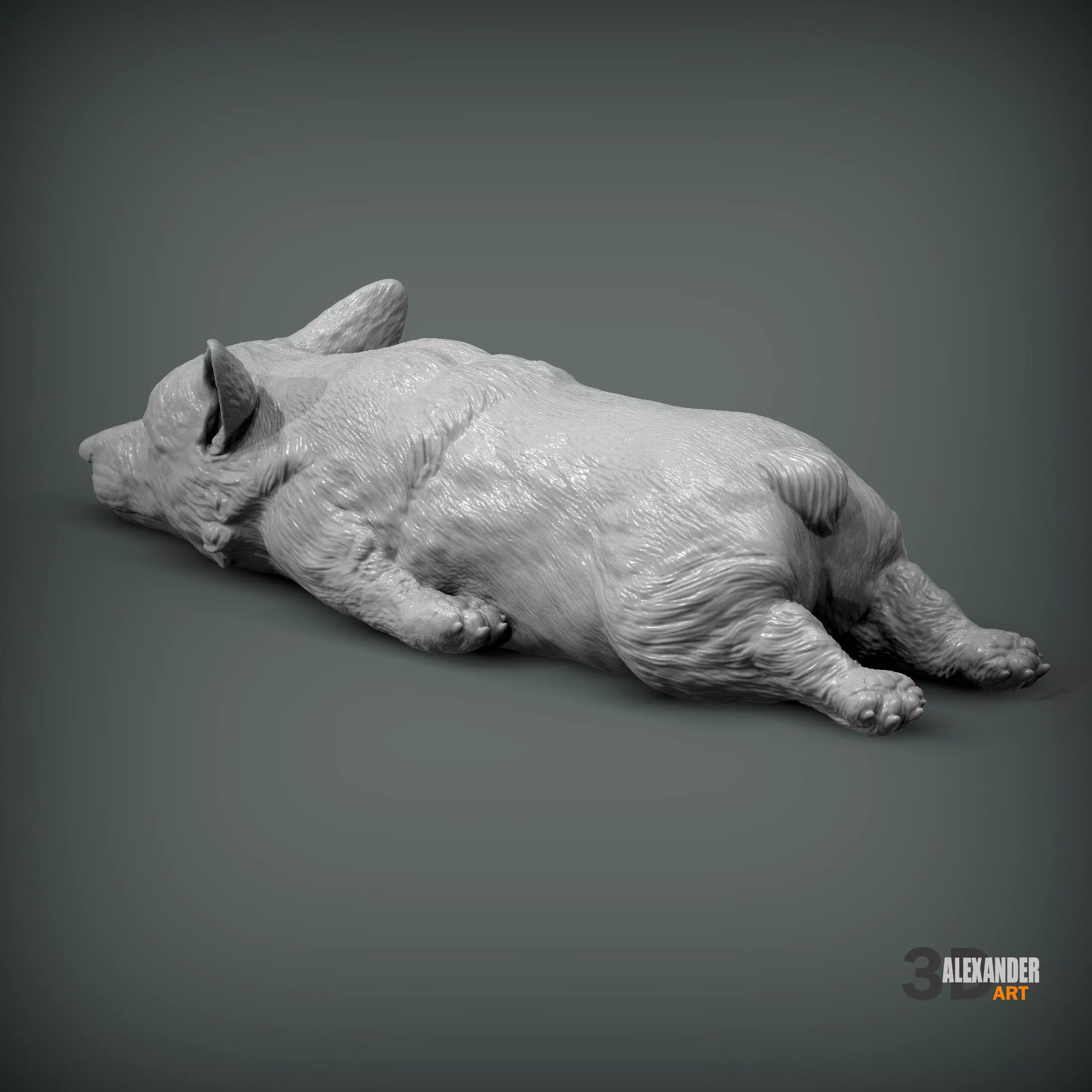 Sleeping Corgi 3D print model_2
