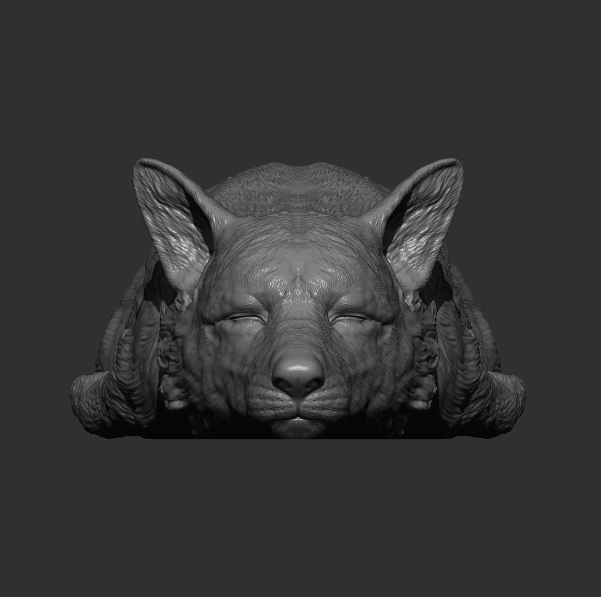 Sleeping Corgi 3D print model_12