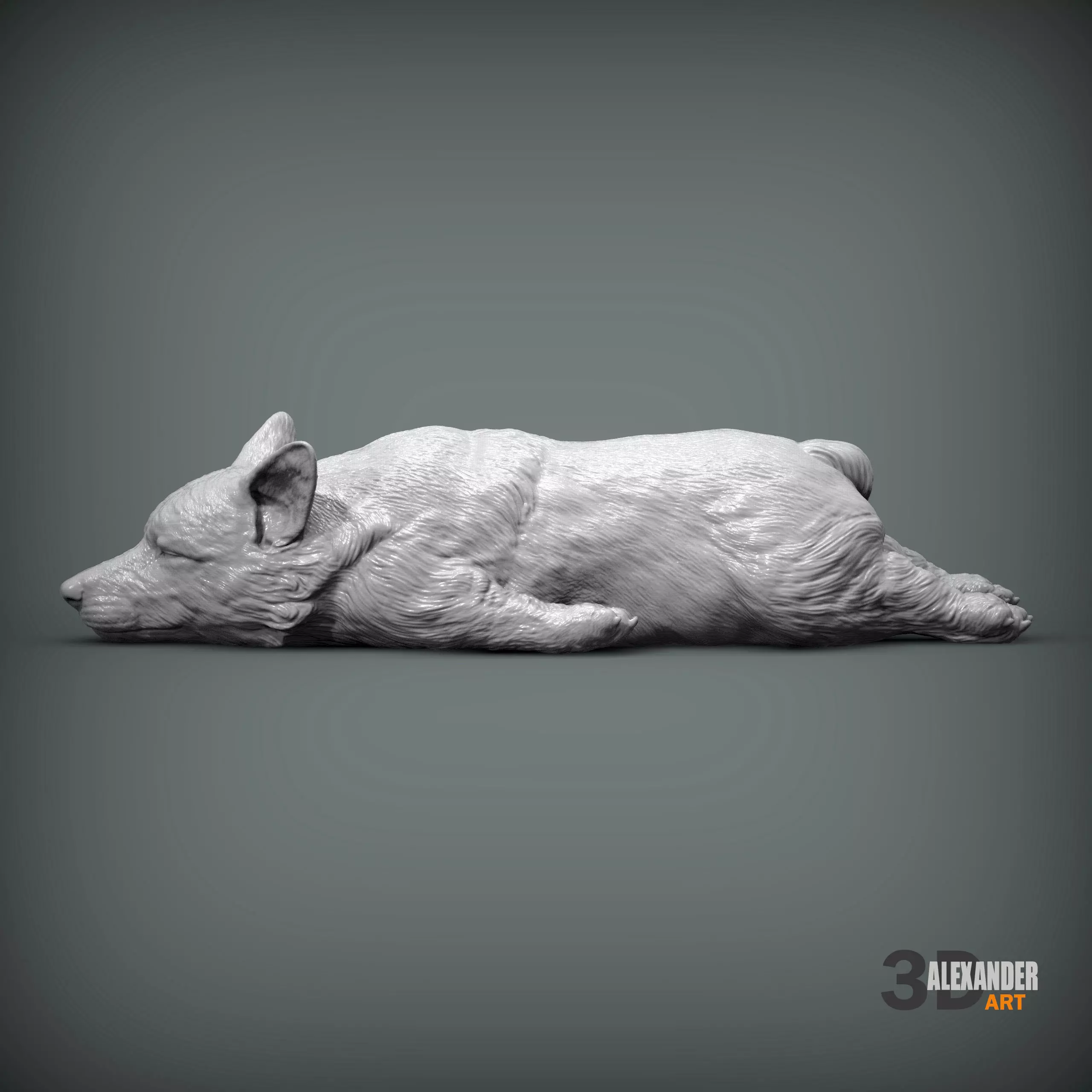 Sleeping Corgi 3D print model_1