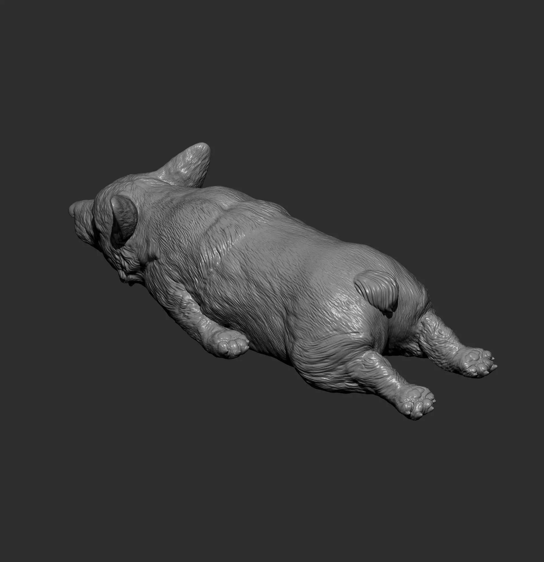 Sleeping Corgi 3D print model_14
