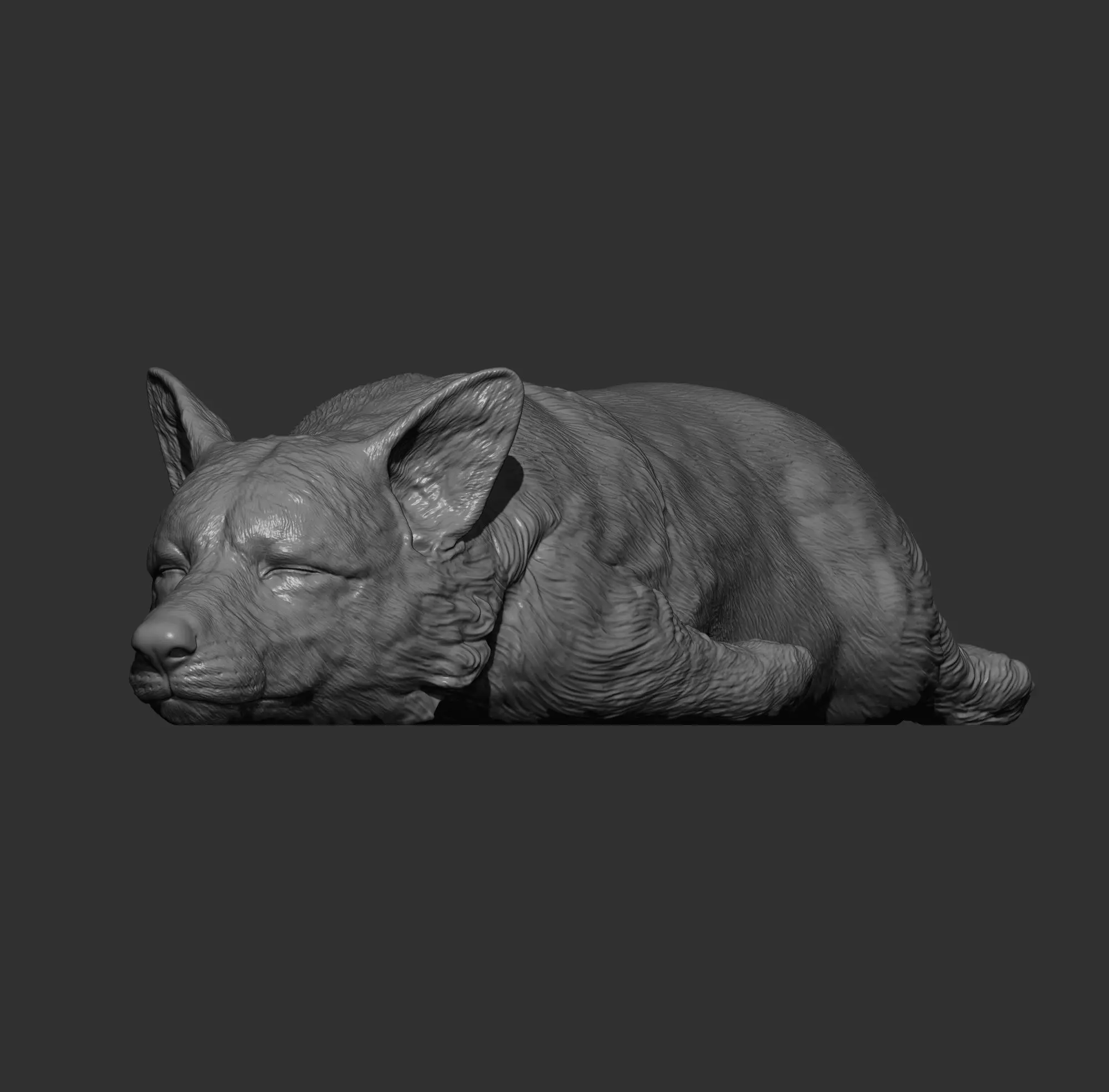 Sleeping Corgi 3D print model_9