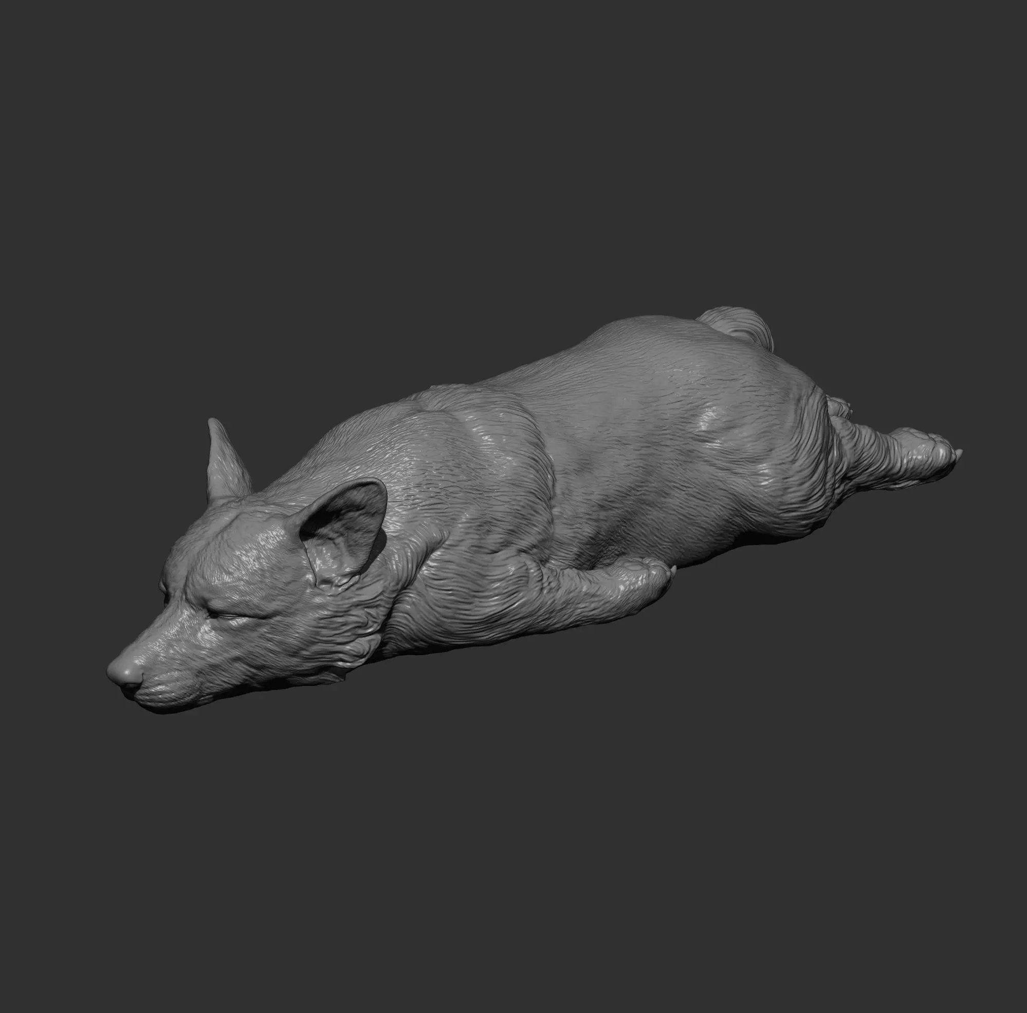 Sleeping Corgi 3D print model_11
