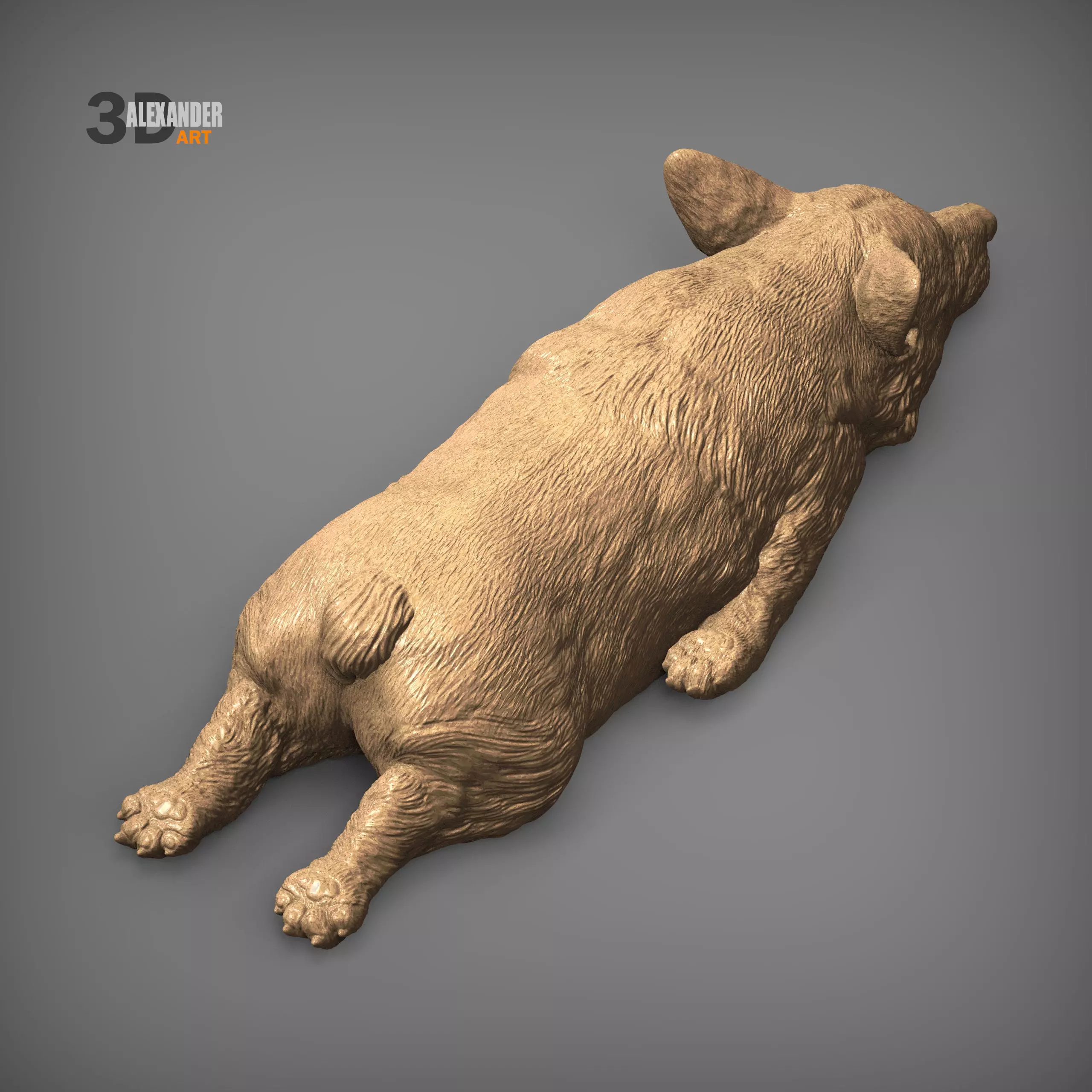Sleeping Corgi 3D print model_8