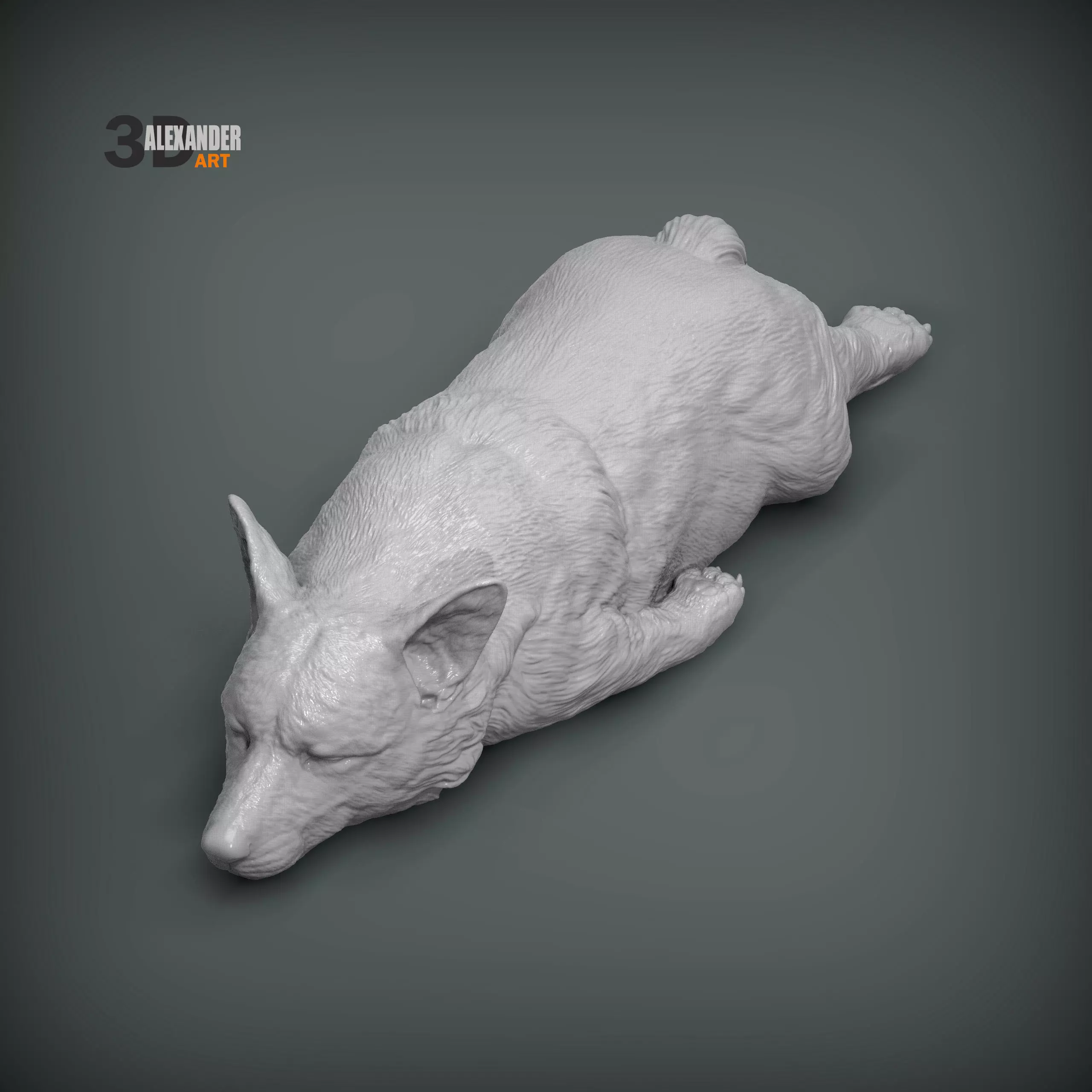 Sleeping Corgi 3D print model_3