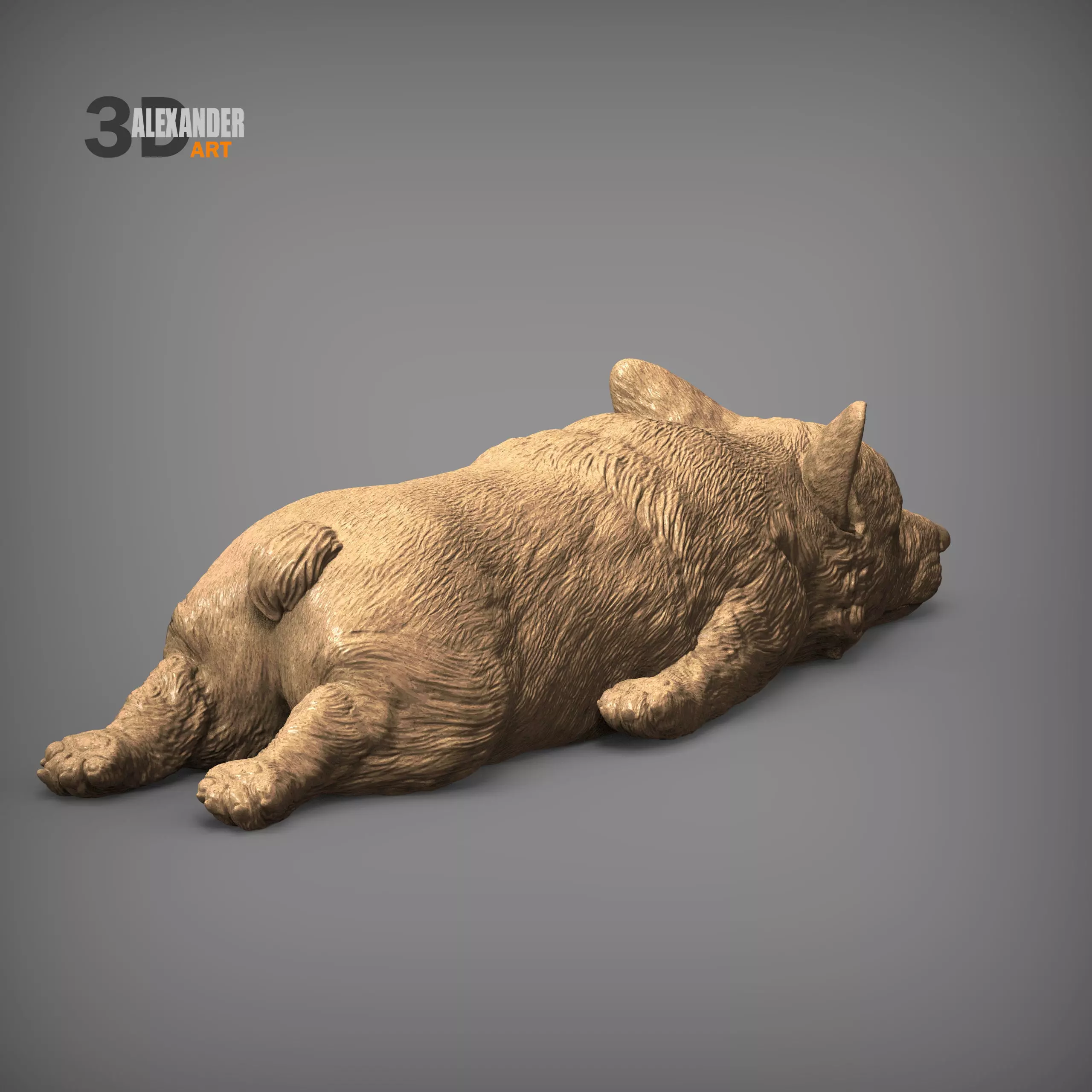 Sleeping Corgi 3D print model_6