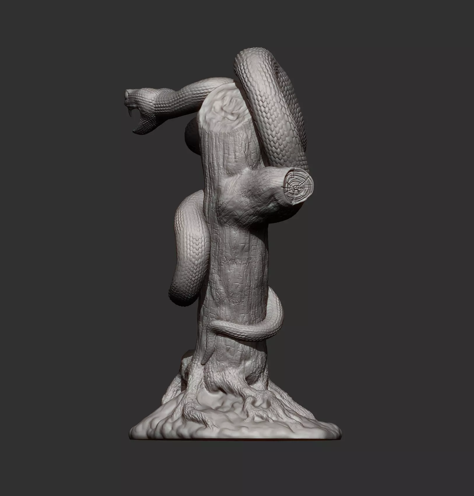 White-Lipped Keffiyeh 3D print model_10