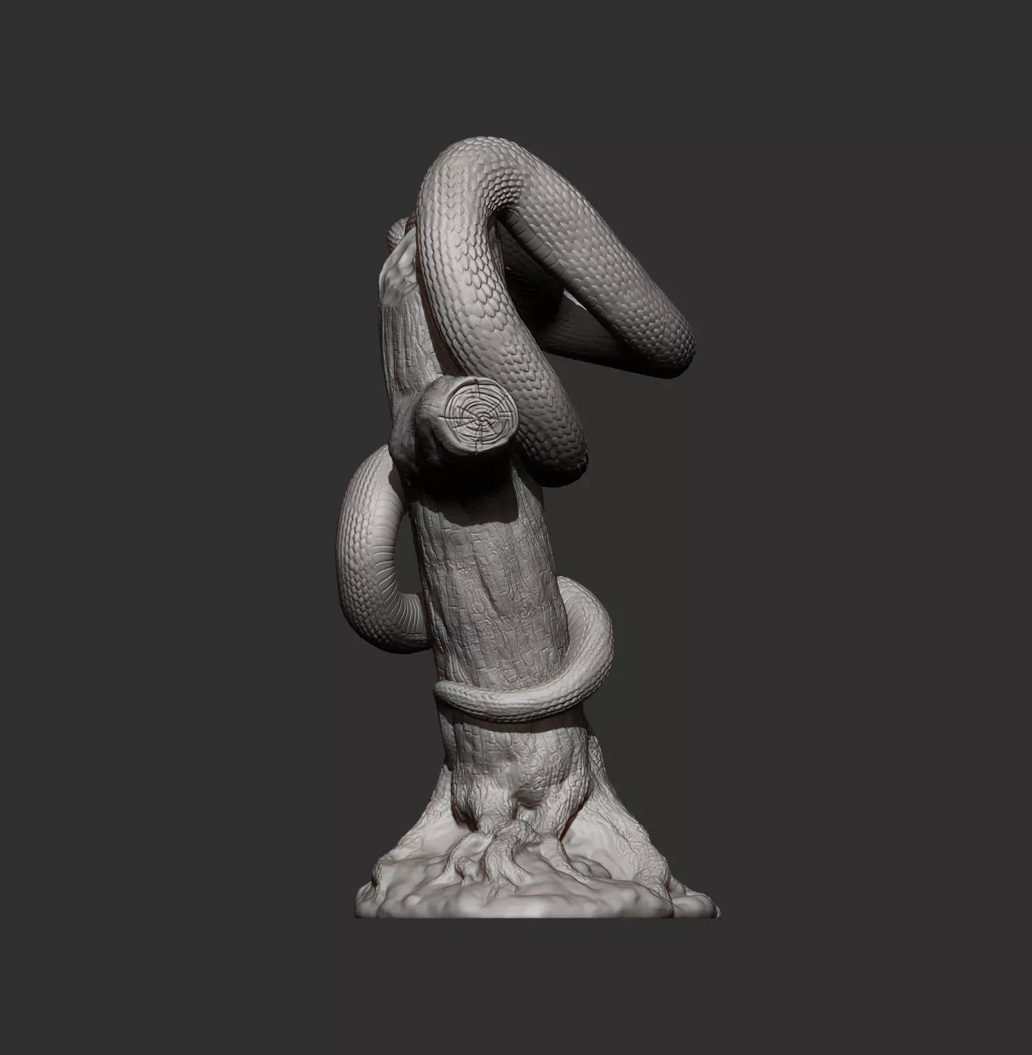 White-Lipped Keffiyeh 3D print model_11