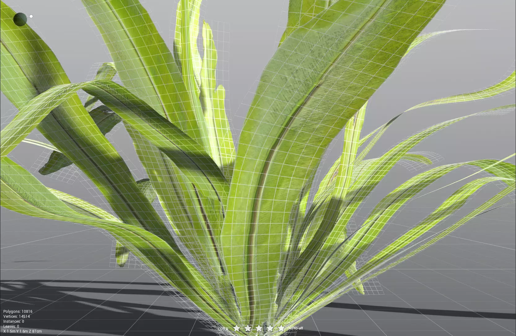EVERYPlant Birds Nest Fern LowPoly Low-poly 3D model_33