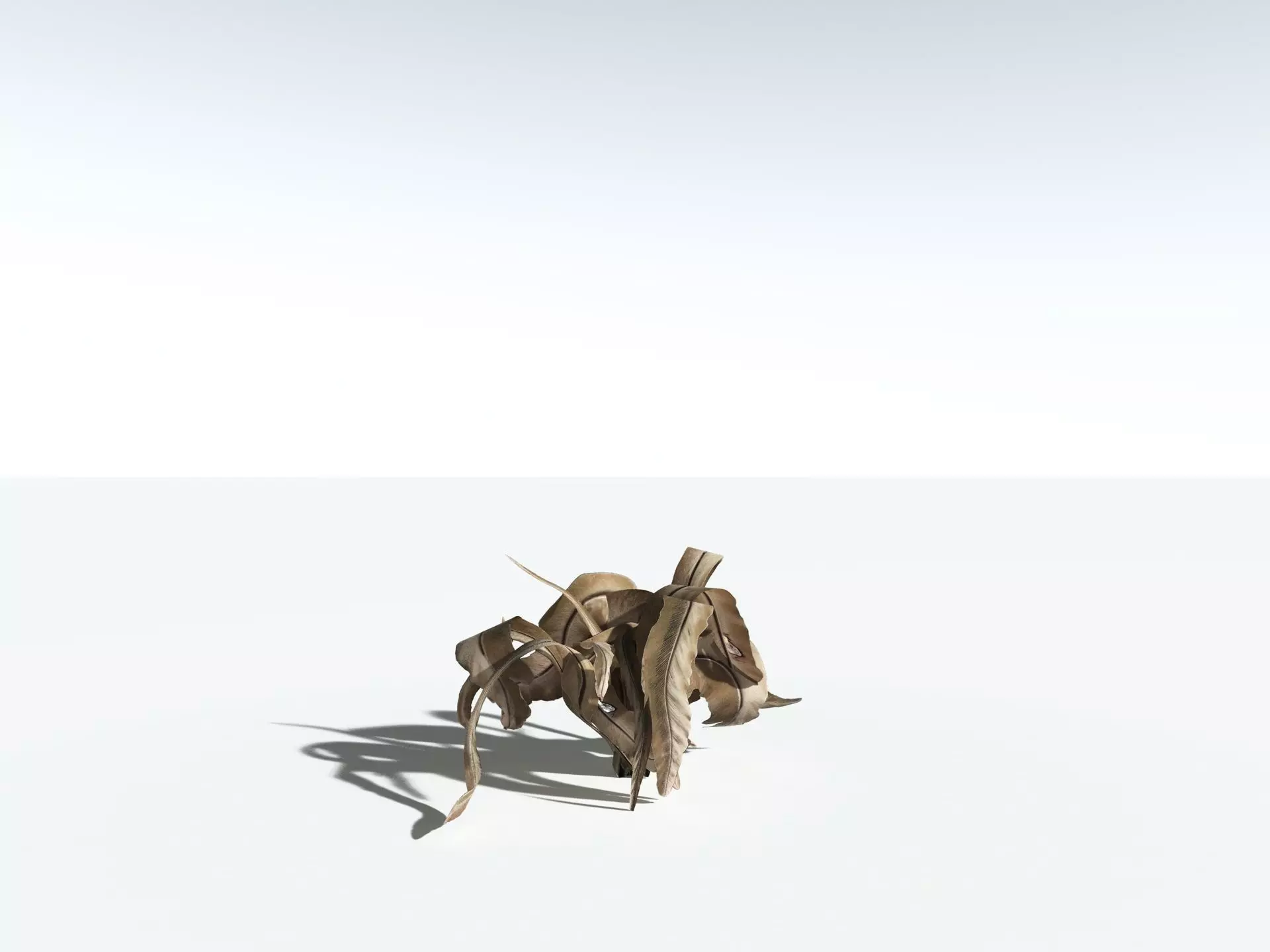 EVERYPlant Birds Nest Fern LowPoly Low-poly 3D model_18