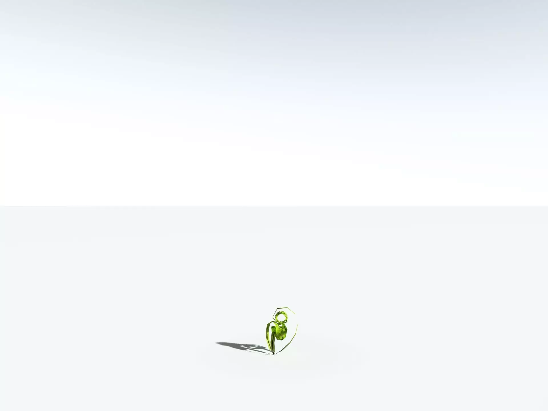 EVERYPlant Birds Nest Fern LowPoly Low-poly 3D model_31