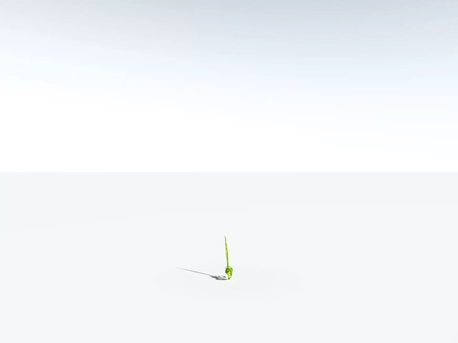 EVERYPlant Birds Nest Fern LowPoly Low-poly 3D model_28