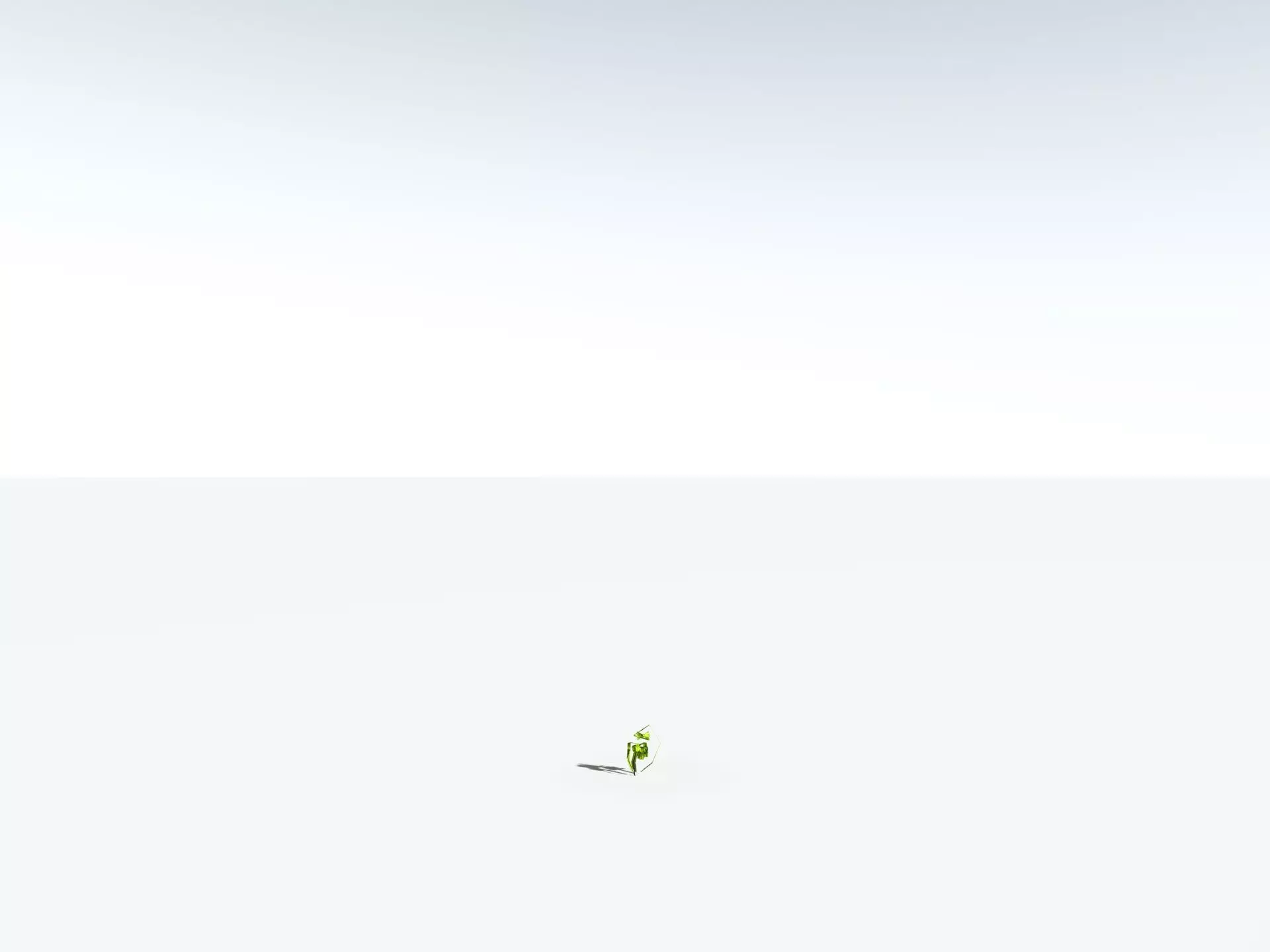 EVERYPlant Birds Nest Fern LowPoly Low-poly 3D model_30