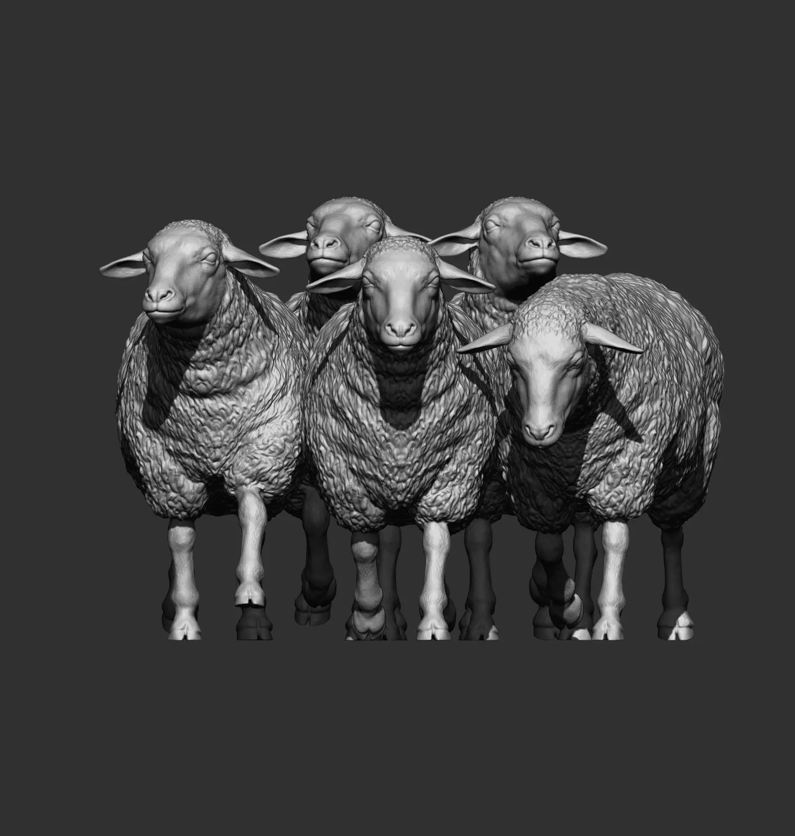 flock of sheep 3D print model_8