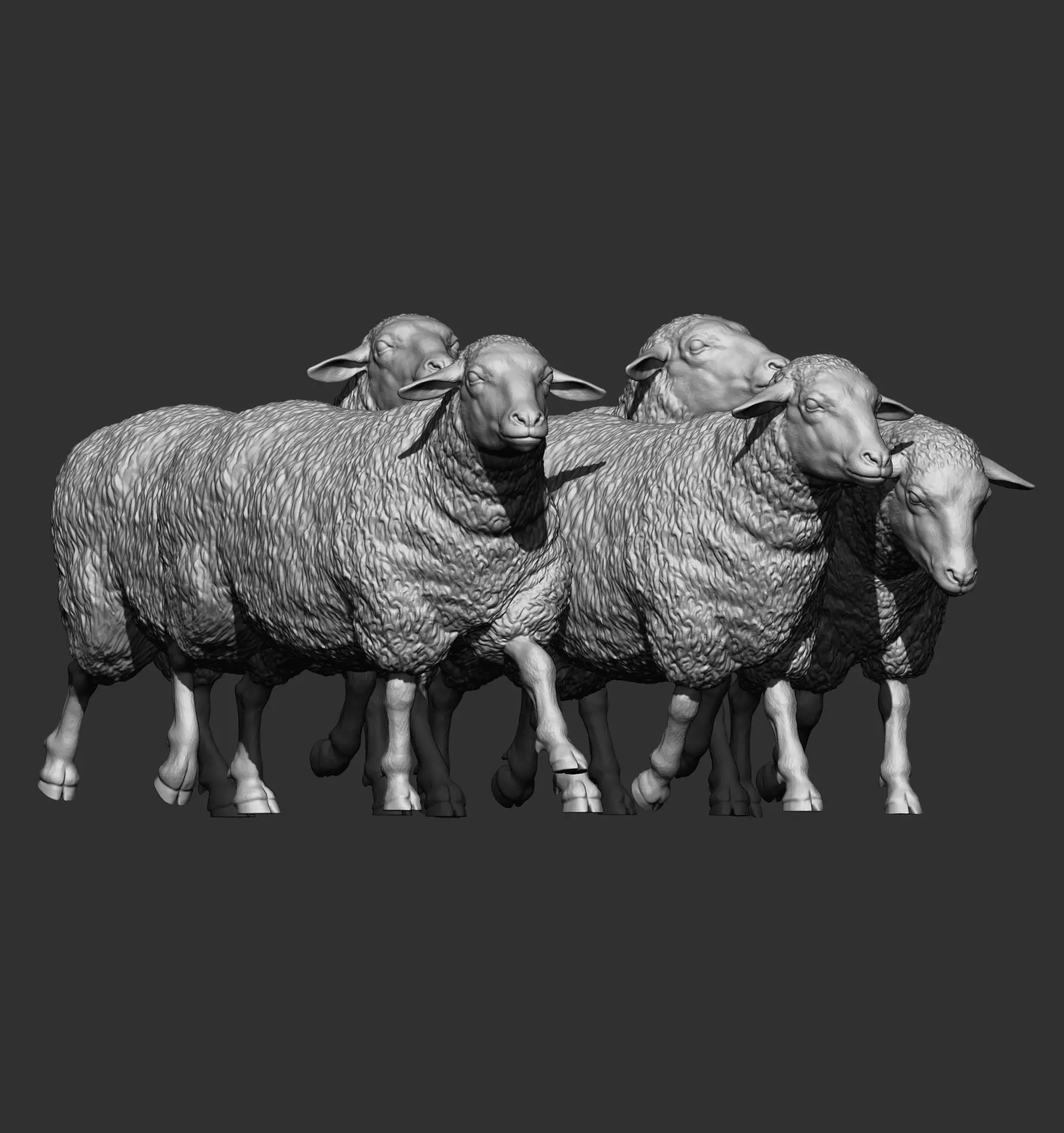 flock of sheep 3D print model_5