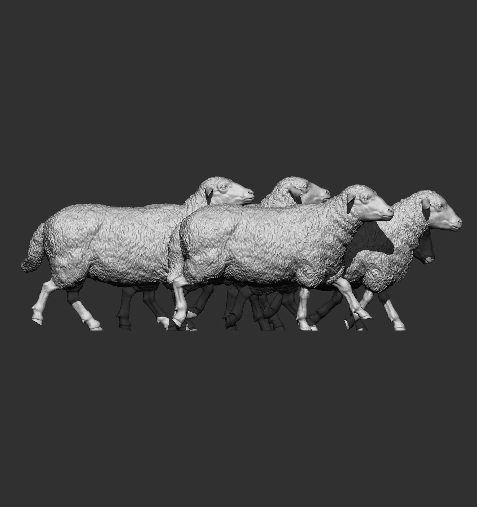 flock of sheep 3D print model_9