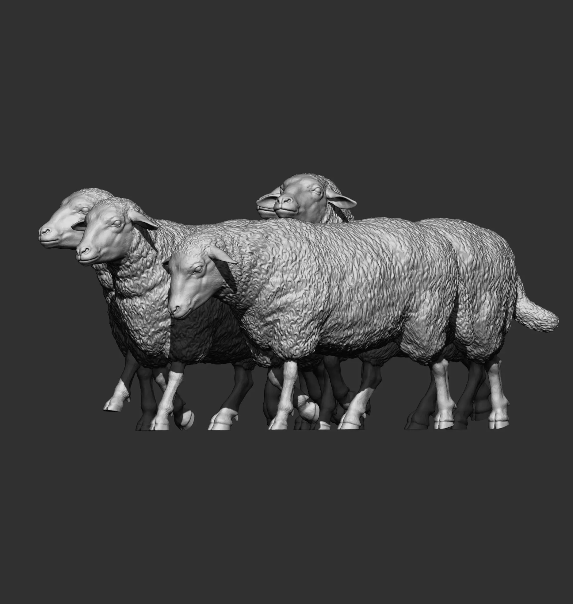 flock of sheep 3D print model_7