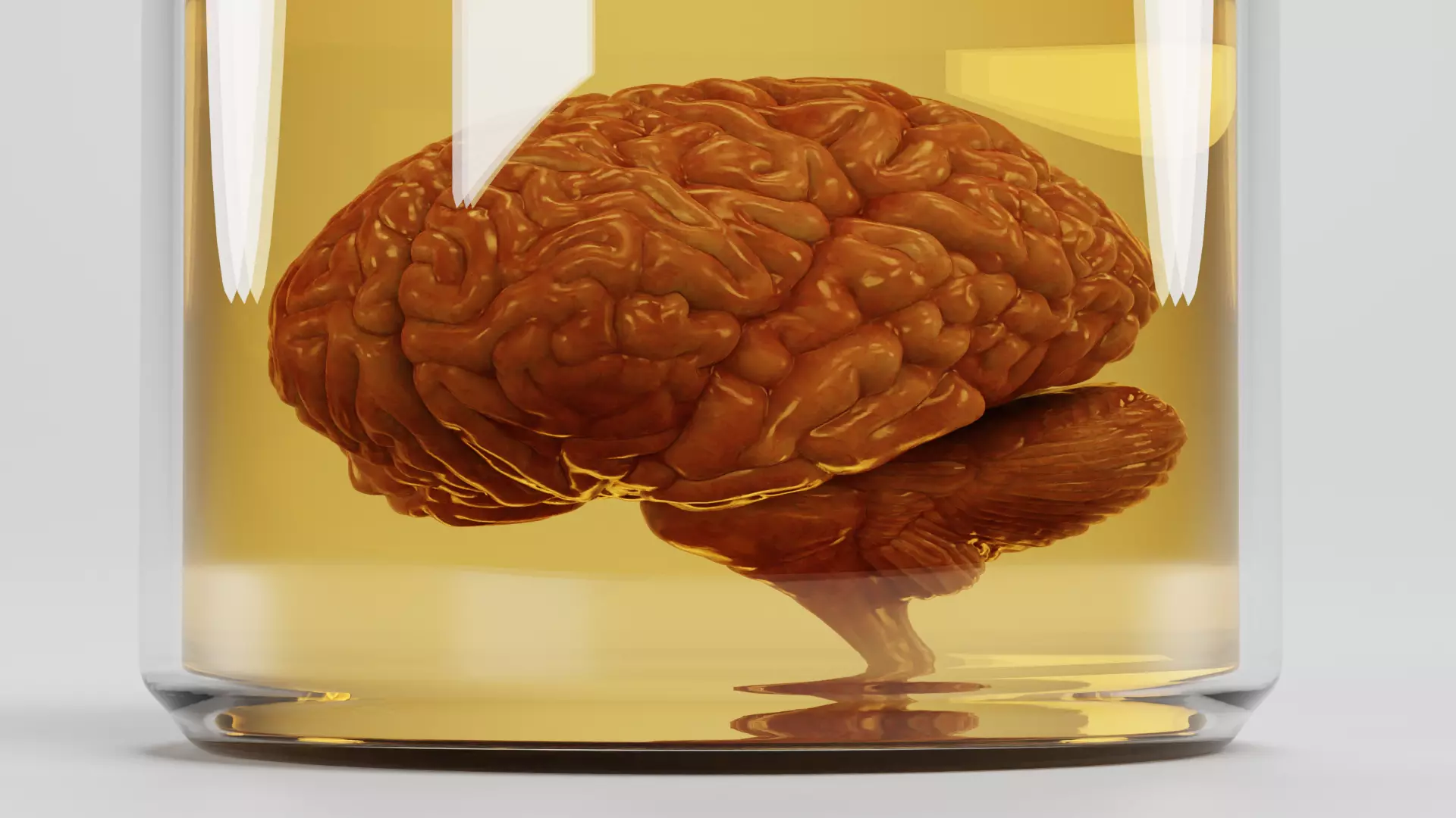 -Realistic Brain in Jar- 3D model_6