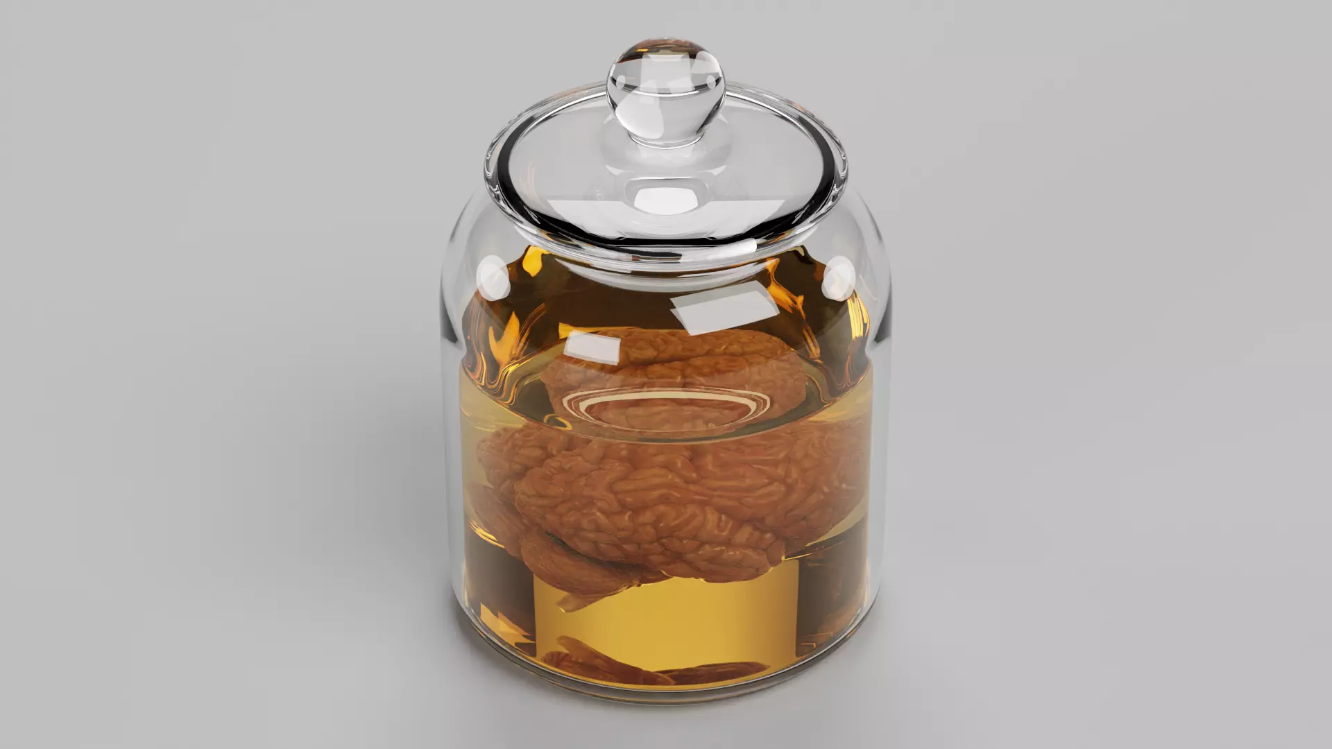 -Realistic Brain in Jar- 3D model_3