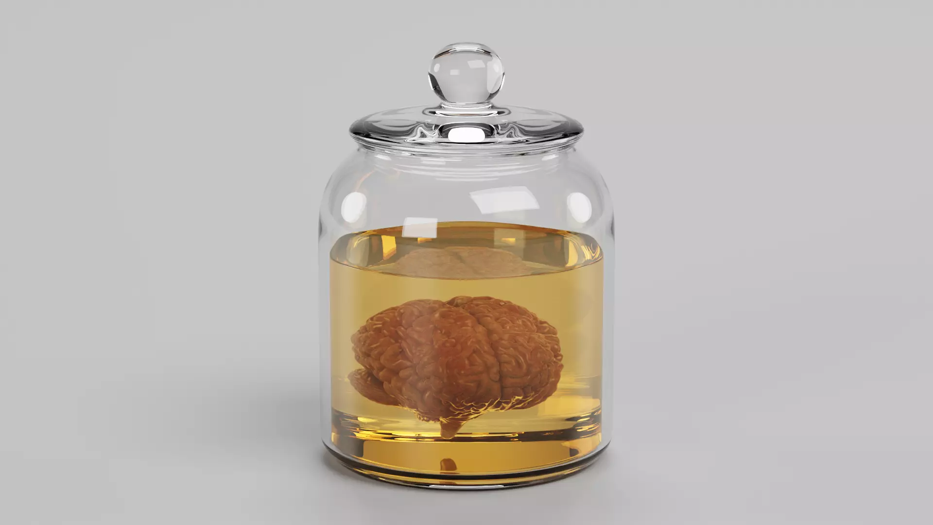 -Realistic Brain in Jar- 3D model_2