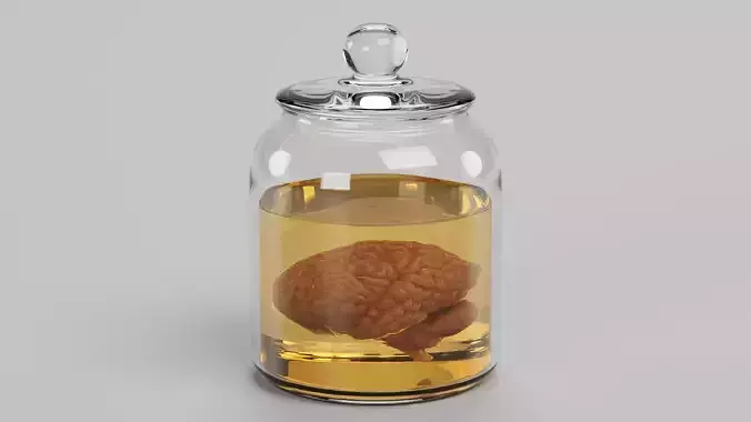 Realistic Human Brain in Preservation Jar