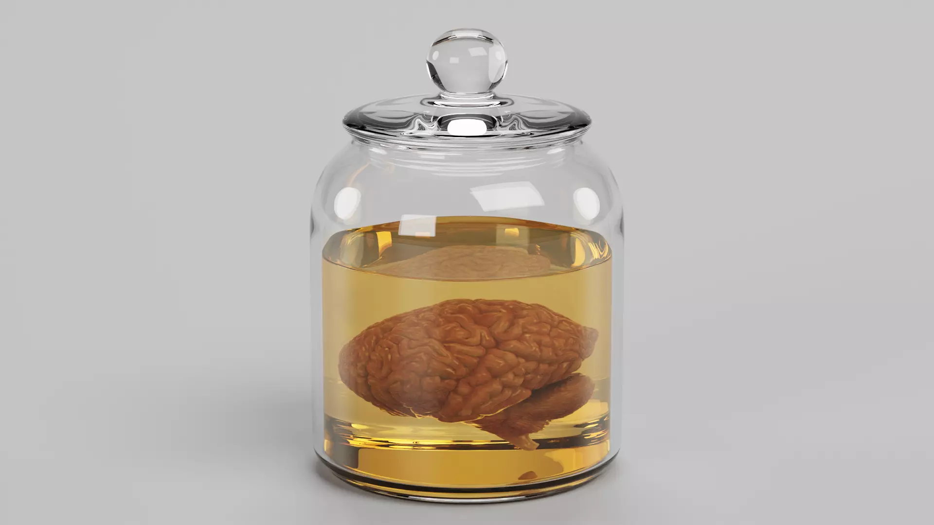 -Realistic Brain in Jar- 3D model_0