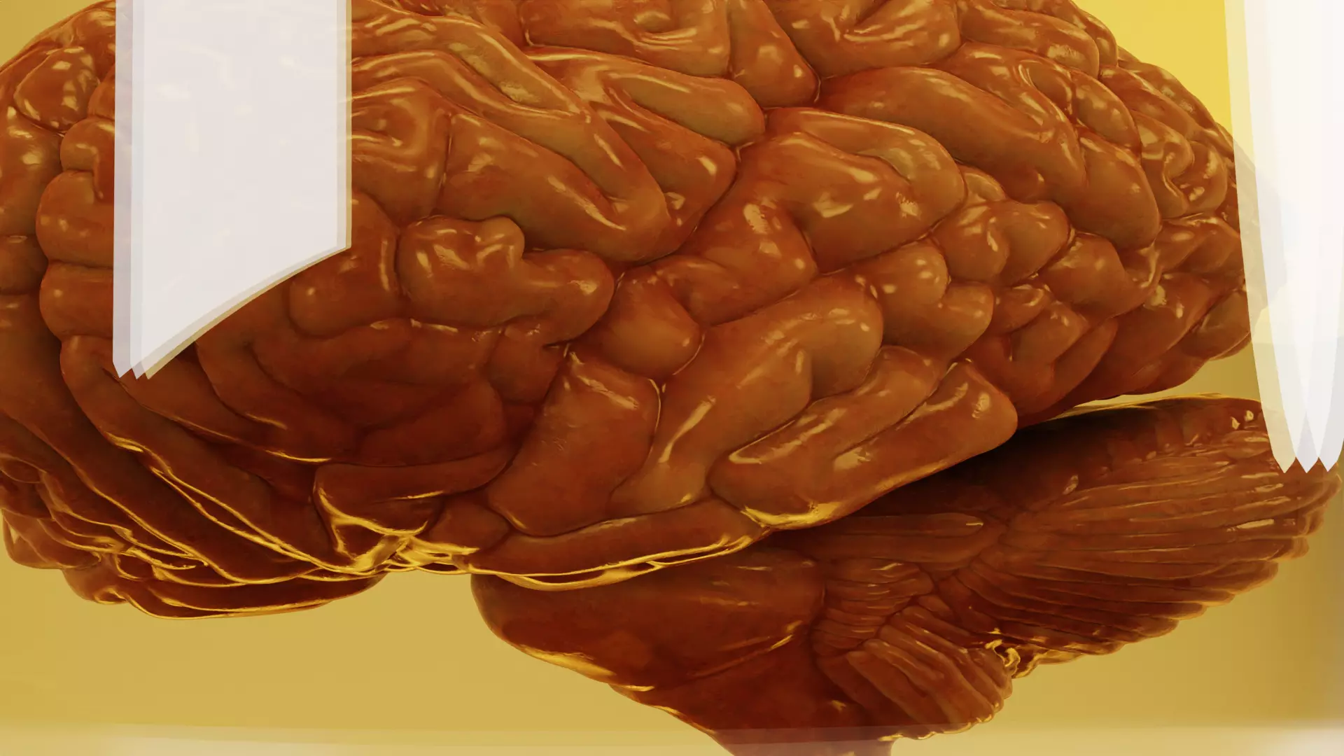 -Realistic Brain in Jar- 3D model_7