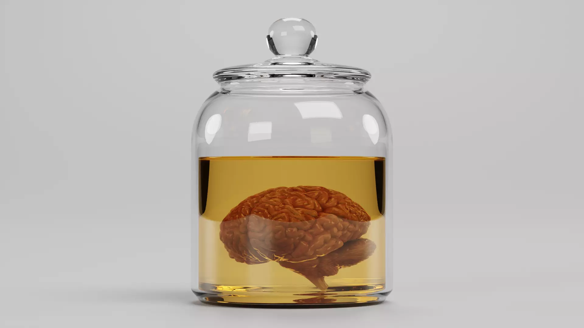 -Realistic Brain in Jar- 3D model_1