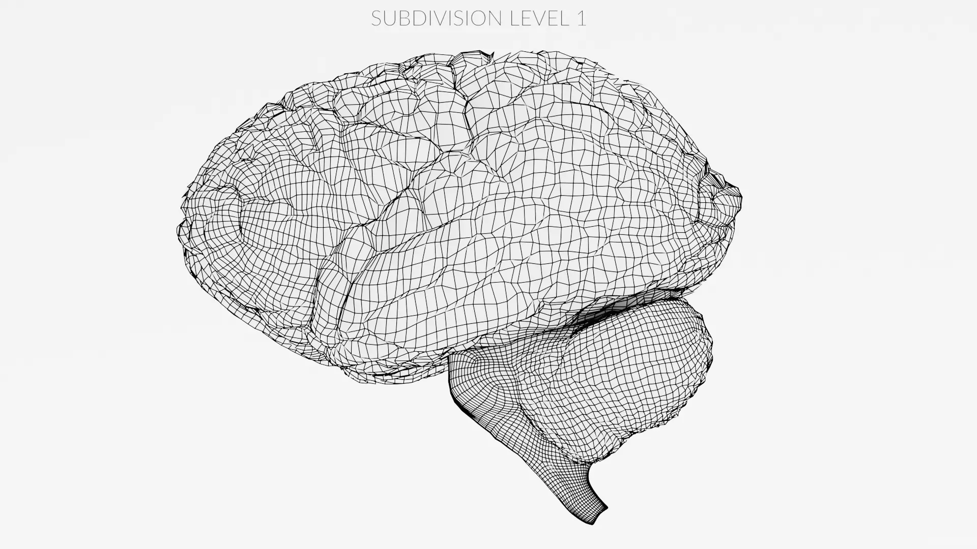 -Realistic Brain in Jar- 3D model_14