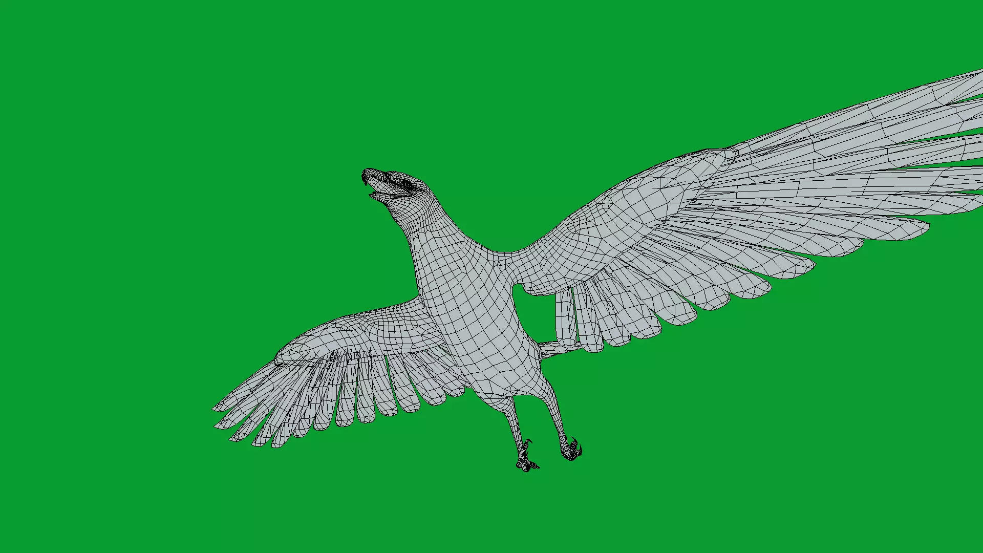 Bald Eagle Bird Low-poly 3D model_26