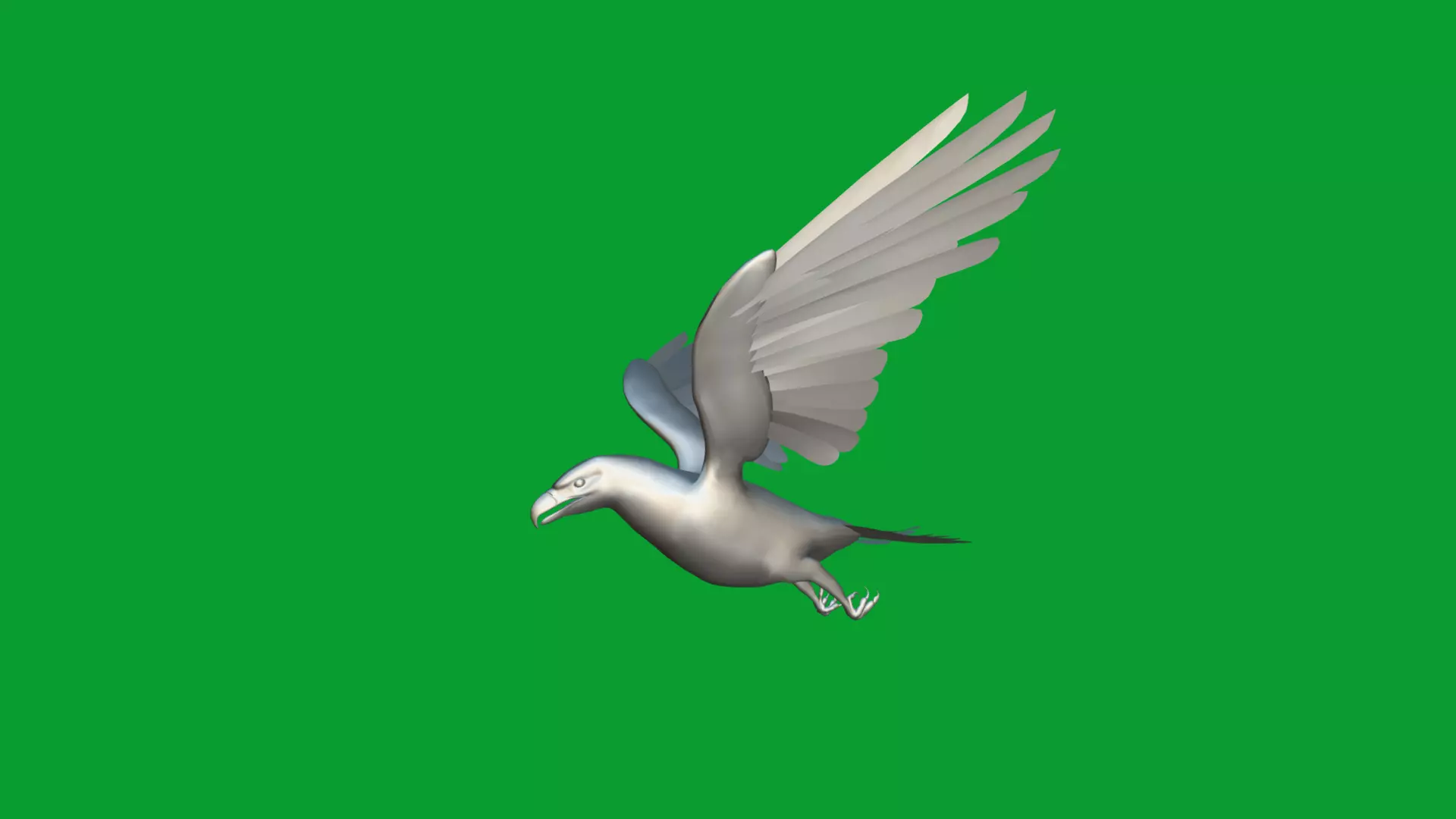 Bald Eagle Bird Low-poly 3D model_23