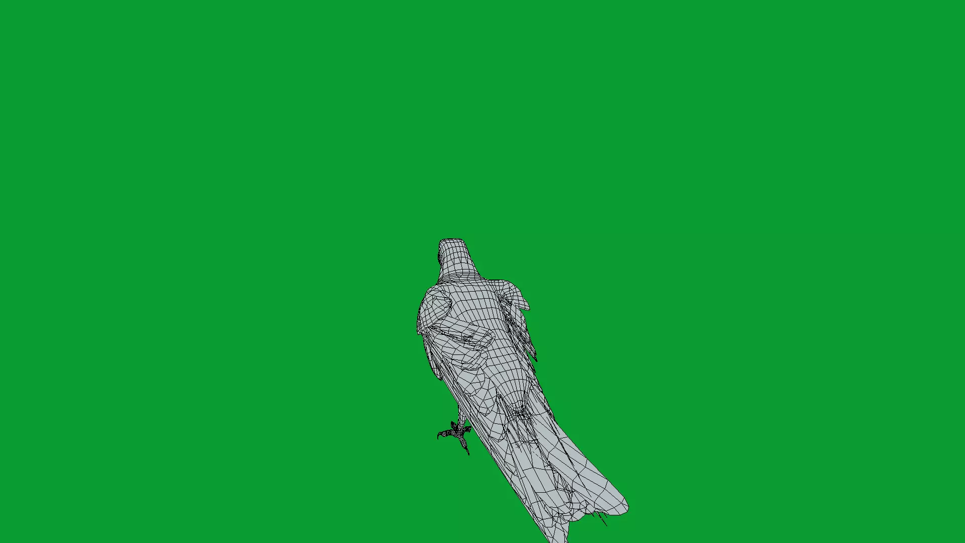 Bald Eagle Bird Low-poly 3D model_36